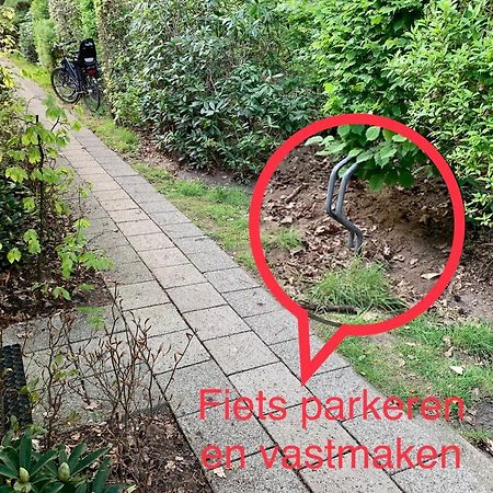 Wilde Moeflon, Geniet Van De Vrije Natuur! อ็อตเตอร์โล ภายนอก รูปภาพ