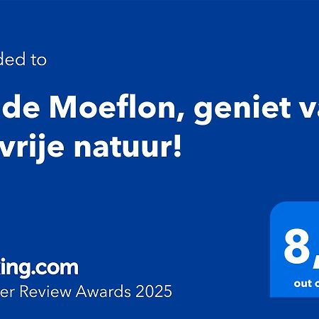 Wilde Moeflon, Geniet Van De Vrije Natuur! อ็อตเตอร์โล ภายนอก รูปภาพ