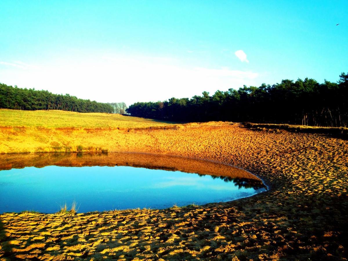 Wilde Moeflon, Geniet Van De Vrije Natuur! อ็อตเตอร์โล ภายนอก รูปภาพ