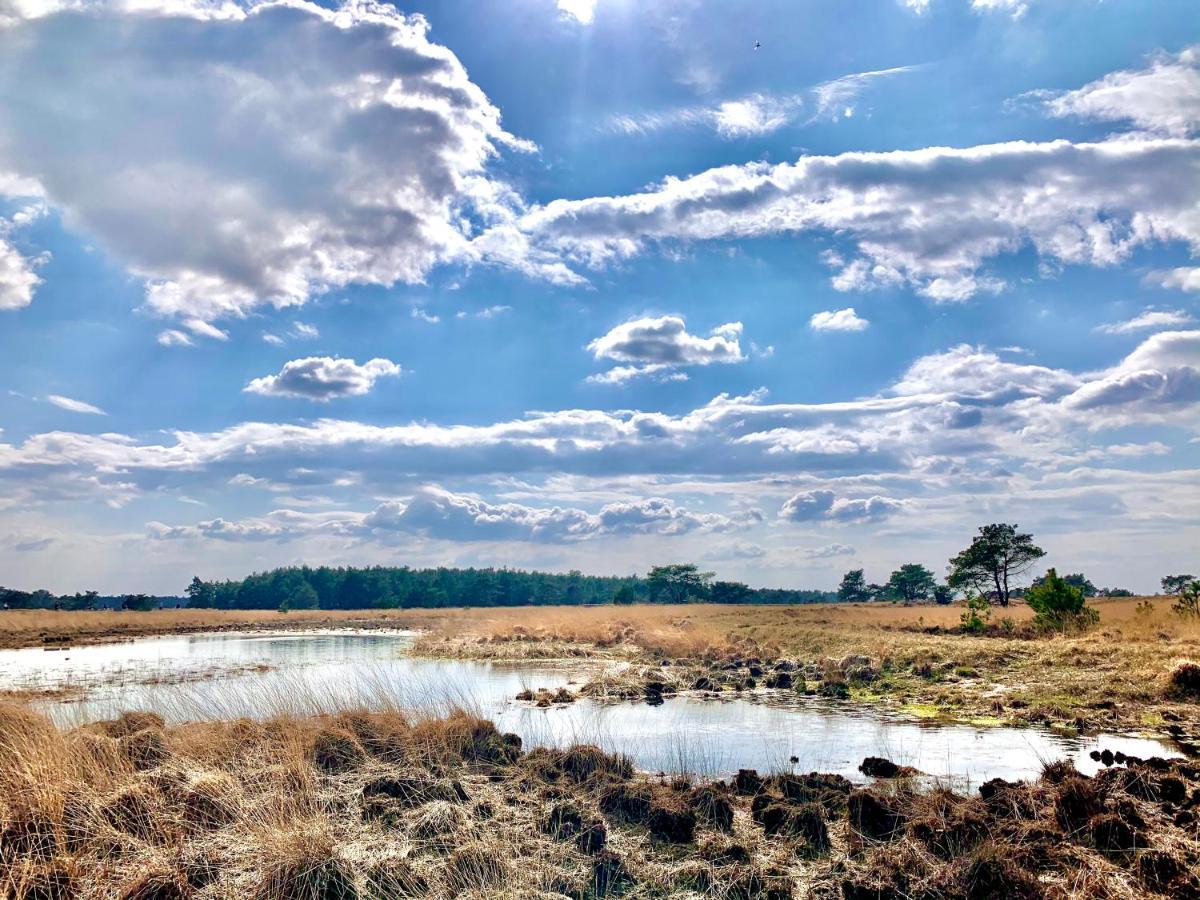 Wilde Moeflon, Geniet Van De Vrije Natuur! อ็อตเตอร์โล ภายนอก รูปภาพ