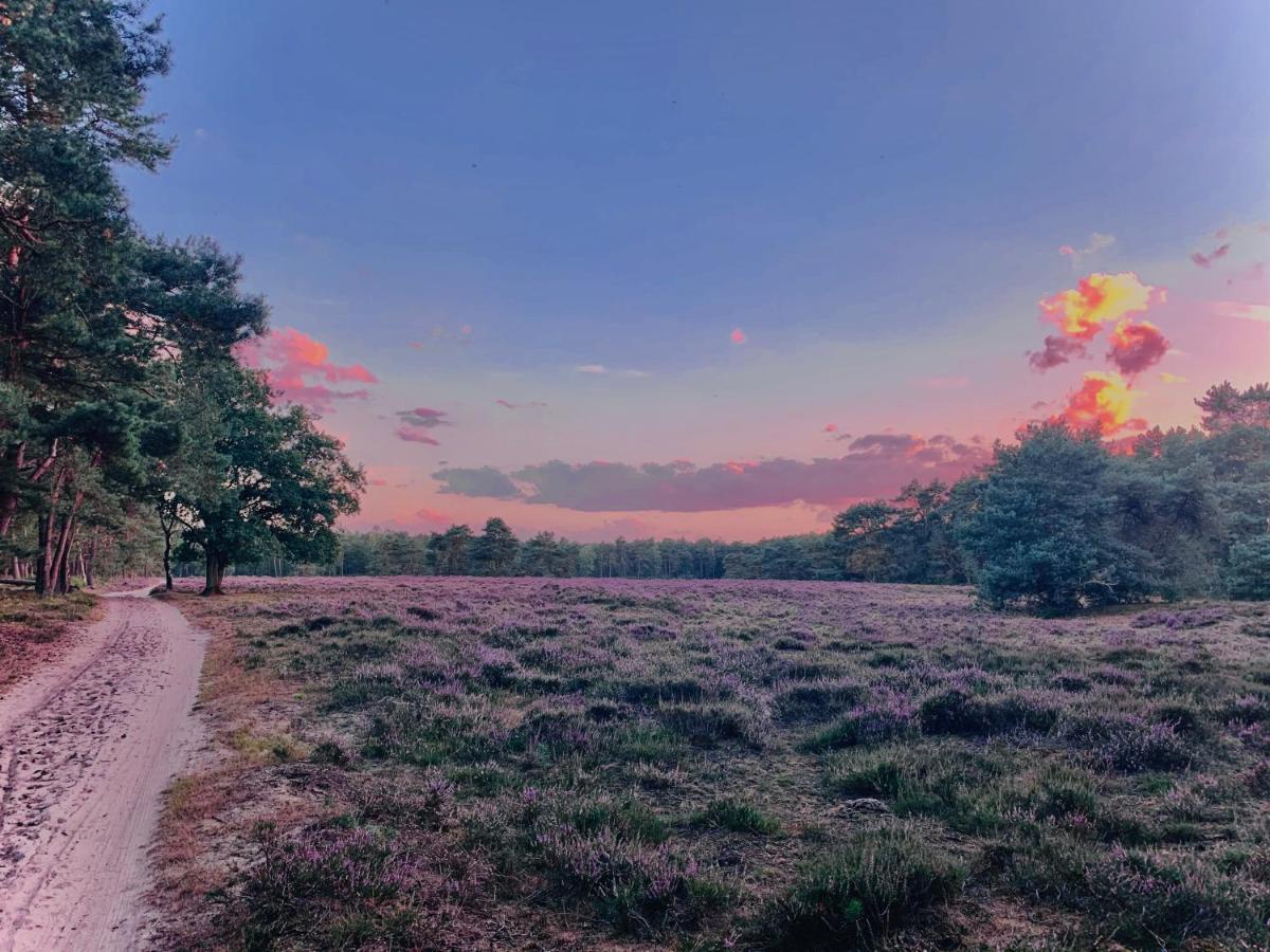 Wilde Moeflon, Geniet Van De Vrije Natuur! อ็อตเตอร์โล ภายนอก รูปภาพ
