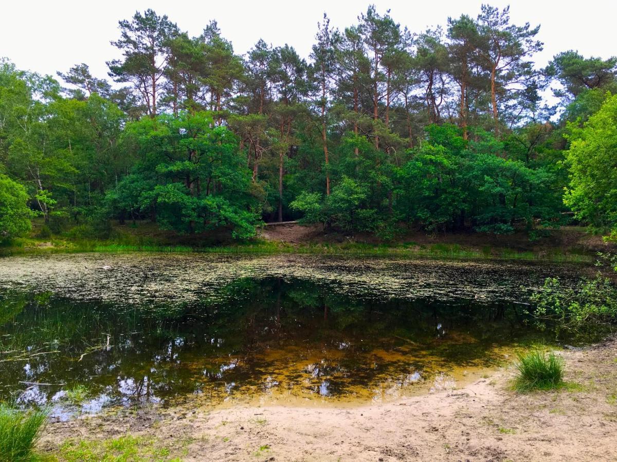 Wilde Moeflon, Geniet Van De Vrije Natuur! อ็อตเตอร์โล ภายนอก รูปภาพ