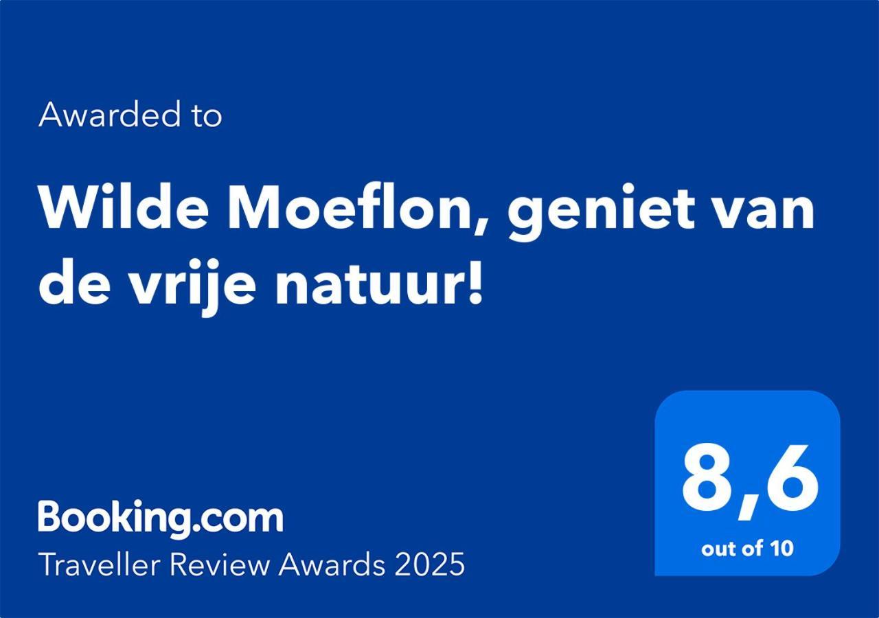 Wilde Moeflon, Geniet Van De Vrije Natuur! อ็อตเตอร์โล ภายนอก รูปภาพ